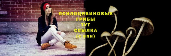стаф Волоколамск